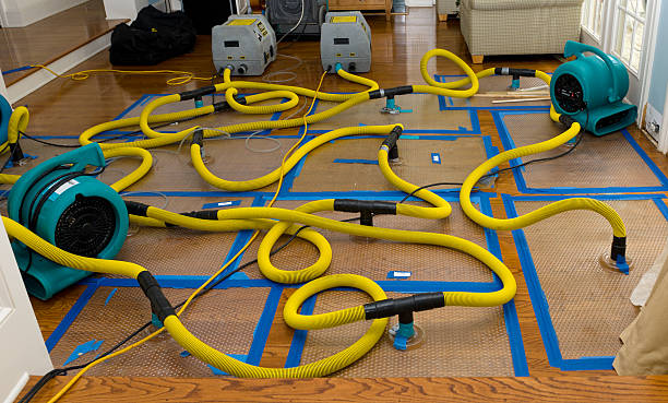 Professional Structural Drying And Dehumidification technician working in Anderson, IN